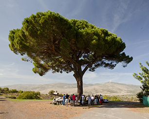 The Jewel that is Sicily